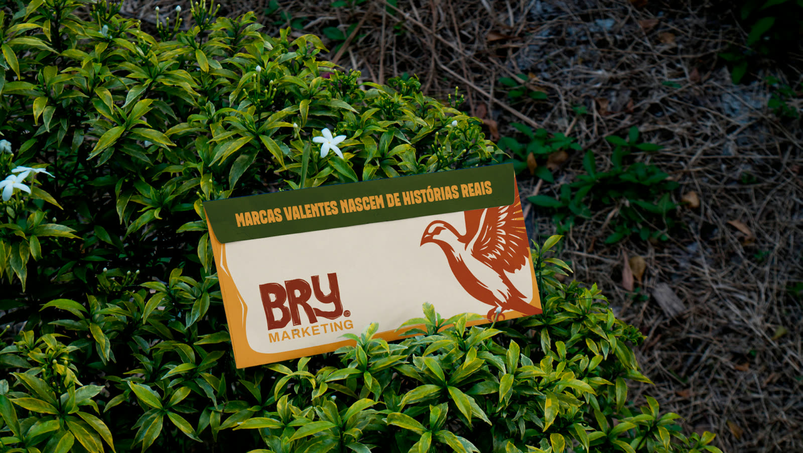 Envelope da Bry Marketing sobre folhagens